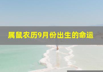 属鼠农历9月份出生的命运