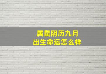 属鼠阴历九月出生命运怎么样