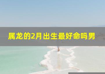 属龙的2月出生最好命吗男