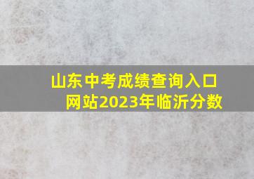 山东中考成绩查询入口网站2023年临沂分数