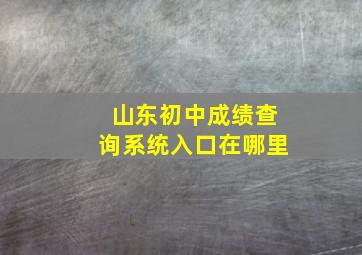 山东初中成绩查询系统入口在哪里