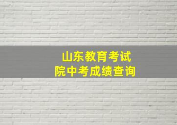 山东教育考试院中考成绩查询