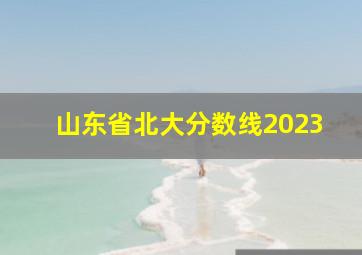 山东省北大分数线2023