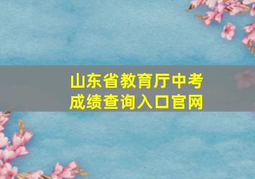 山东省教育厅中考成绩查询入口官网