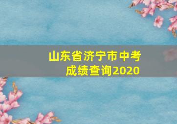 山东省济宁市中考成绩查询2020