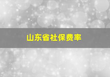 山东省社保费率