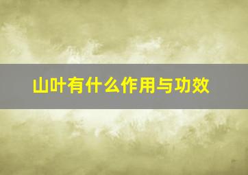 山叶有什么作用与功效