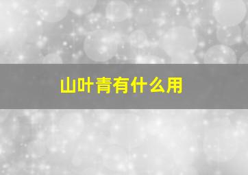 山叶青有什么用