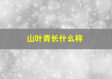 山叶青长什么样