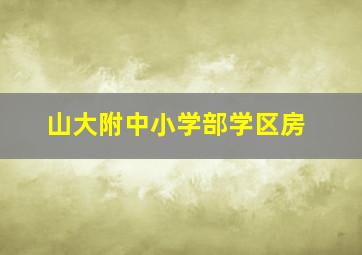 山大附中小学部学区房