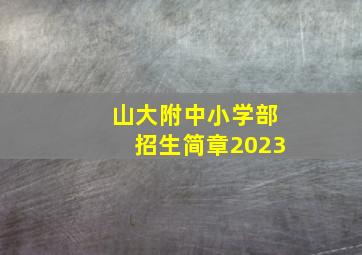 山大附中小学部招生简章2023