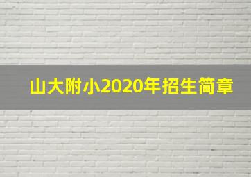 山大附小2020年招生简章