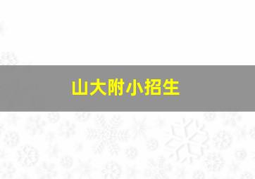 山大附小招生