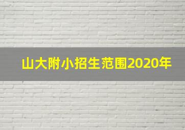 山大附小招生范围2020年