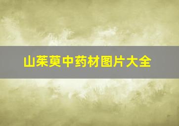 山茱萸中药材图片大全