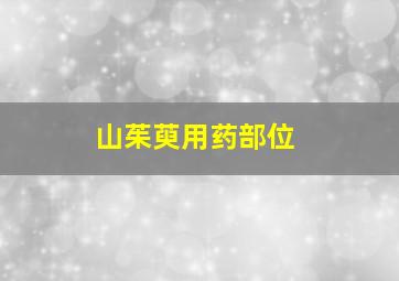 山茱萸用药部位