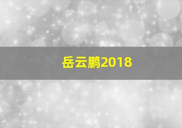 岳云鹏2018