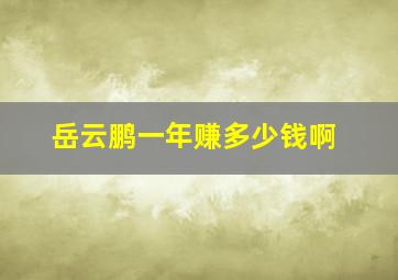 岳云鹏一年赚多少钱啊