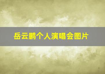 岳云鹏个人演唱会图片