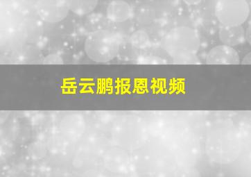 岳云鹏报恩视频