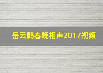 岳云鹏春晚相声2017视频