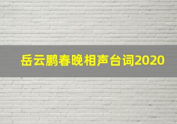 岳云鹏春晚相声台词2020