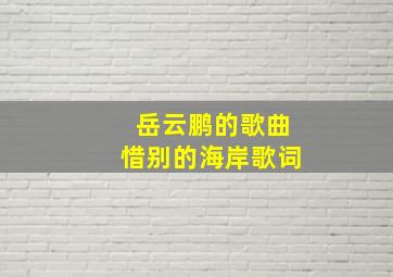 岳云鹏的歌曲惜别的海岸歌词