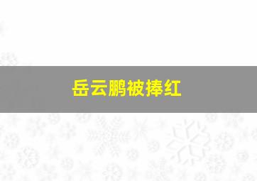 岳云鹏被捧红