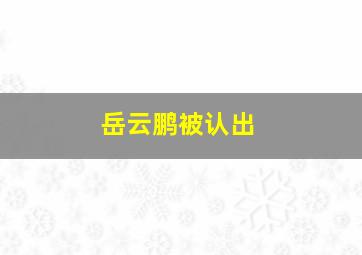 岳云鹏被认出