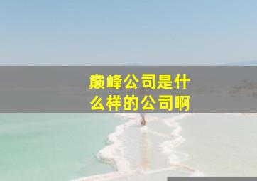 巅峰公司是什么样的公司啊