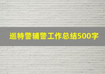 巡特警辅警工作总结500字