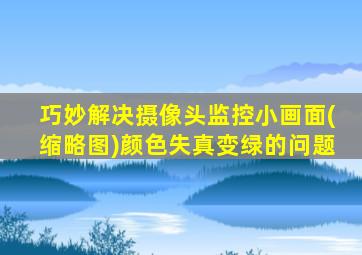 巧妙解决摄像头监控小画面(缩略图)颜色失真变绿的问题