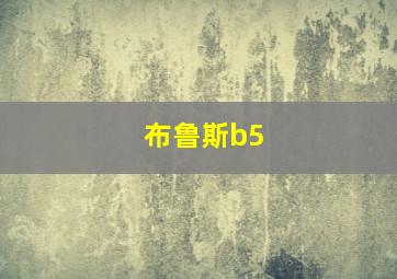 布鲁斯b5