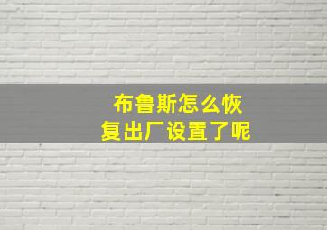 布鲁斯怎么恢复出厂设置了呢