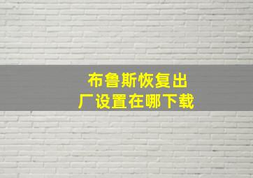 布鲁斯恢复出厂设置在哪下载