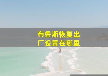 布鲁斯恢复出厂设置在哪里