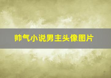 帅气小说男主头像图片