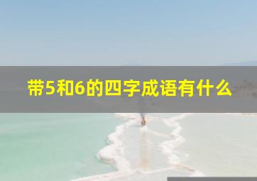 带5和6的四字成语有什么