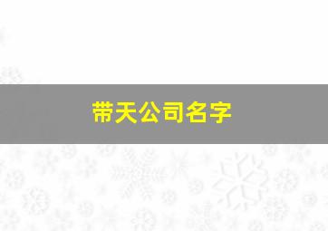 带天公司名字