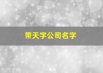 带天字公司名字