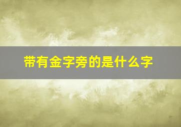 带有金字旁的是什么字