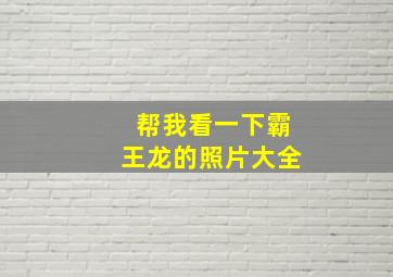 帮我看一下霸王龙的照片大全