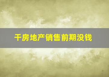 干房地产销售前期没钱