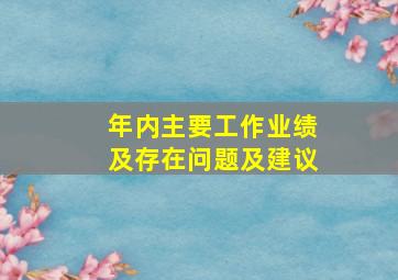 年内主要工作业绩及存在问题及建议