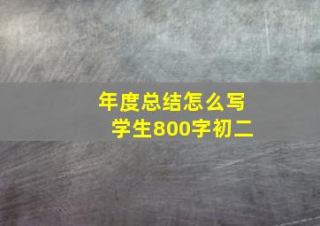 年度总结怎么写学生800字初二