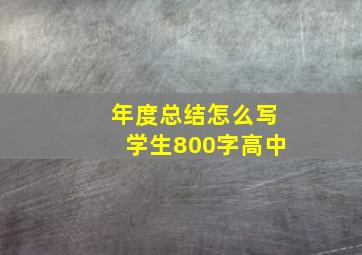 年度总结怎么写学生800字高中