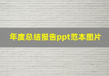 年度总结报告ppt范本图片