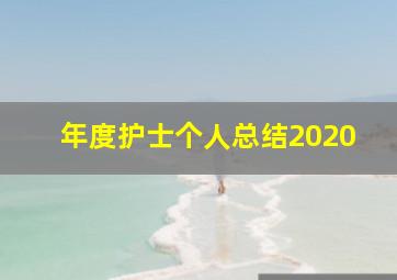 年度护士个人总结2020