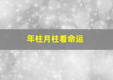 年柱月柱看命运