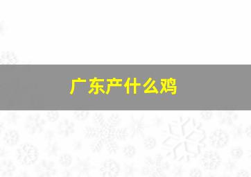 广东产什么鸡